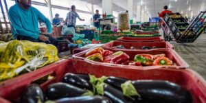 campanha-busca-engajamento-para-reduzir-desperdicio-de-alimento