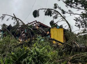 tempestade,-ventos-fortes-e-granizo-deixam-regiao-sul-em-alerta